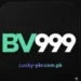 bv999 Game