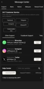 P999 Game 2