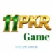 11pkr